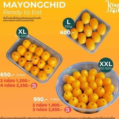 MENU_3126672Gz_1741246755