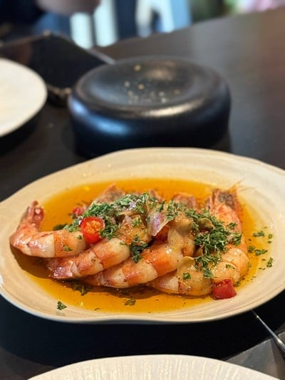 Bodegas Wine Bodegas Wine