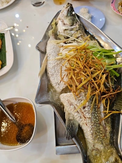 ปลากระพงนึ่งซีอิ๊ว