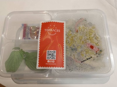 ข้าวผัดแกงเขียวหวาน ปลาดุกฟู