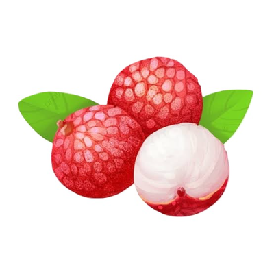 MENU_3154870to_1742499220