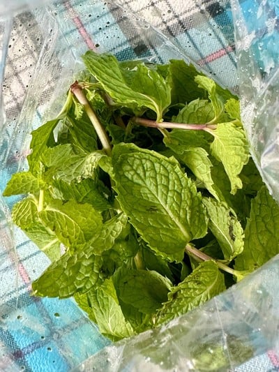 วิธีทำ 🌶️🍋🟩 ยำปลากระป๋อง 🐟🥫 วิธีทำ 🌶️🍋🟩 ยำปลากระป๋อง 🐟🥫