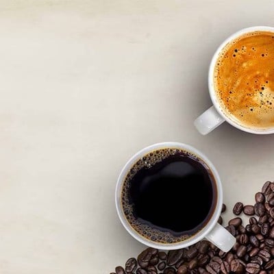 MENU_3133065GR_1742550696