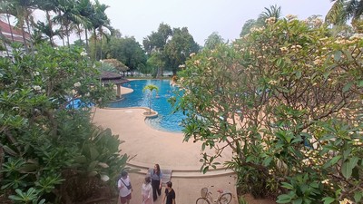 สระว่ายน้ำ/ชายหาด
