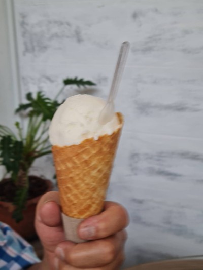Waffle Cone