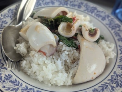 ข้างราดกะเพราปลาหมึก