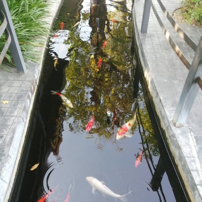 หน้าร้าน