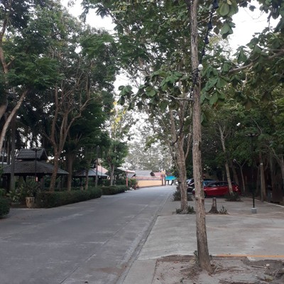 บริเวณโดยรอบ