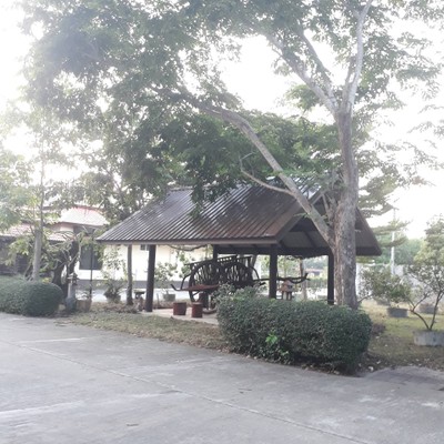 บริเวณโดยรอบ