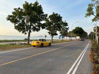 บริเวณโดยรอบ