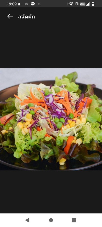 สลัดผัก