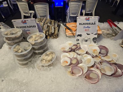 หอยเซลล์ 1 แพ็ต