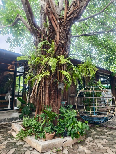 บรรยากาศ