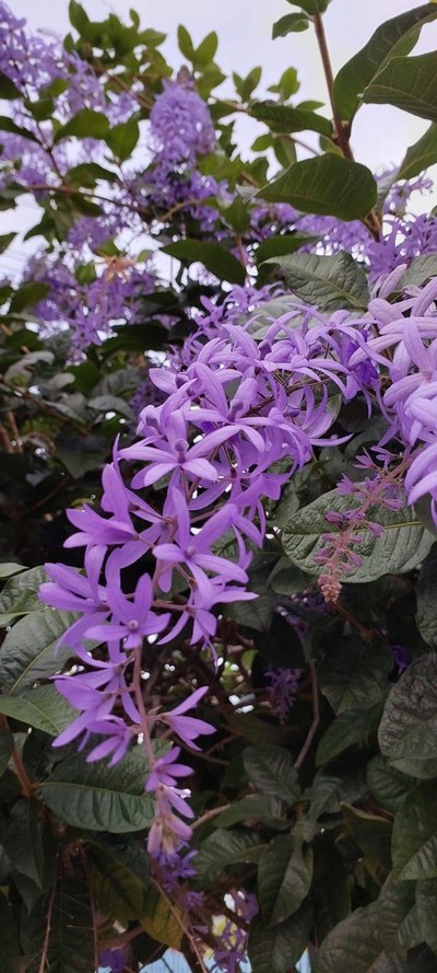 3 วัน2 คืน ที่เกาะหมาก บุรีฮัท 