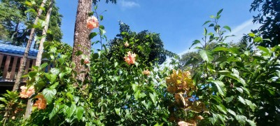 3 วัน2 คืน ที่เกาะหมาก บุรีฮัท 