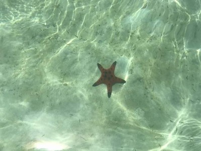 3 วัน2 คืน ที่เกาะหมาก บุรีฮัท 