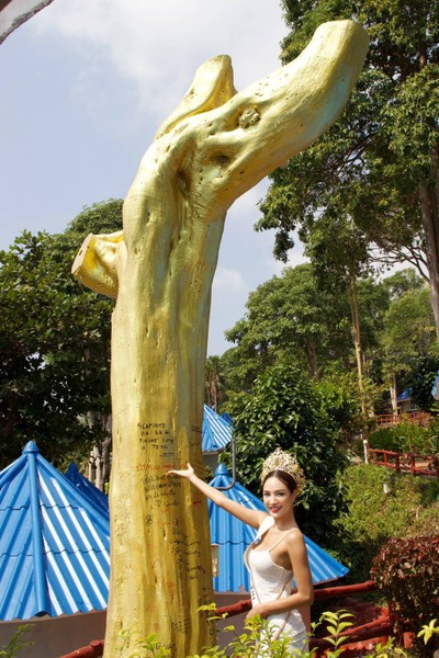 ต้นไม้แห่งการอธิฐาน ขอพร