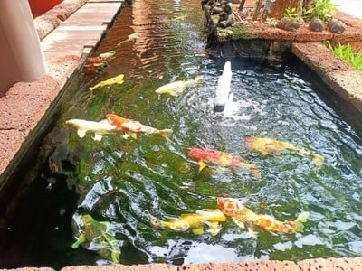 บริเวณโดยรอบ