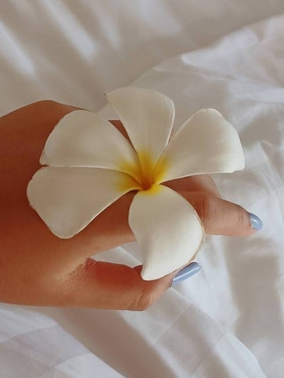 บริเวณโดยรอบ