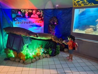 อื่นๆ