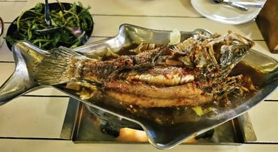 แกงส้มแป๊ะซะปลาช่อน