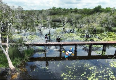 บรรยากาศ