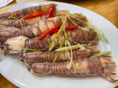 กั้งทะเล