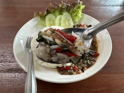 ข้าวกะเพราปู