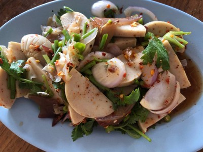 ยำหมูยอ