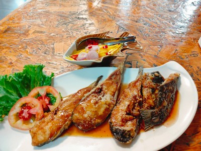 ปลาเค้าทอดน้ำปลา