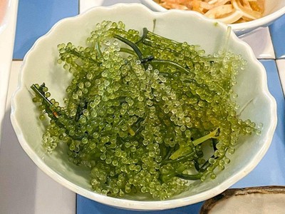 สาหร่ายพวงองุ่น