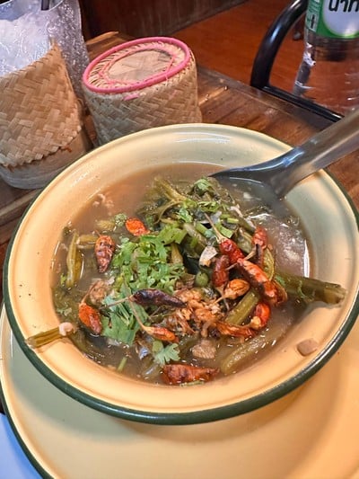 จอผักกาด
