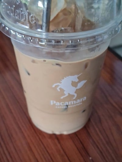 เมนูของร้าน PACAMARA The Circle Ratchapruk