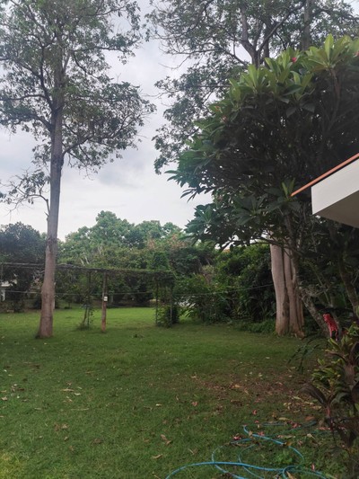 บริเวณโดยรอบ