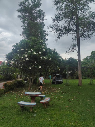 บริเวณโดยรอบ