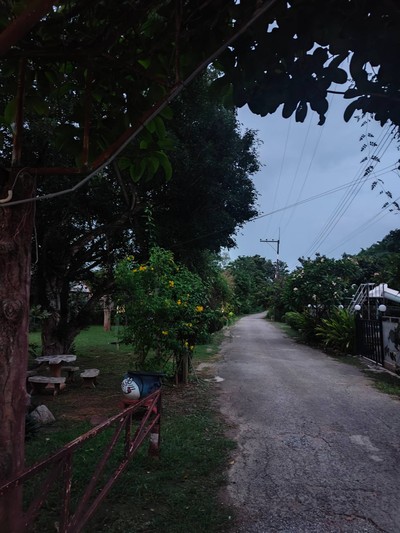 บริเวณโดยรอบ