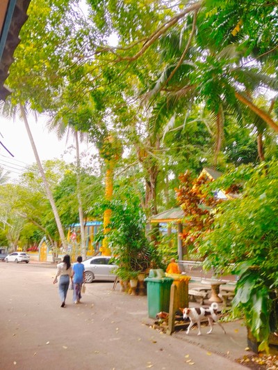 บรรยากาศ