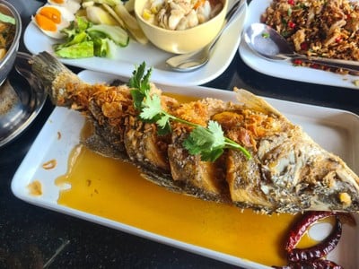 ปลากะพงทอดราดซอสมะขาม