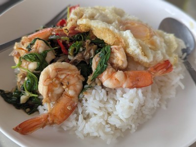 ข้าวราดกะเพรากุ้ง+ไข่ดาว