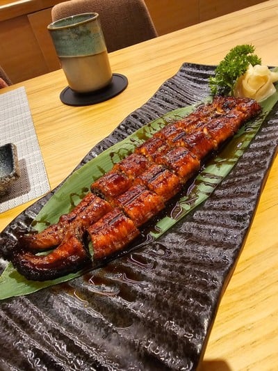 ปลาไหลย่าง