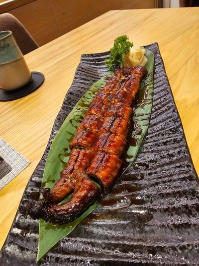 ปลาไหลย่าง