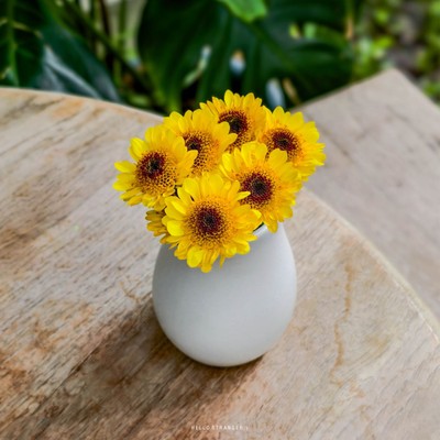 Narisa Cafe & Creative Space