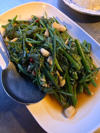 ยอดแม้วผัดไฟแดง