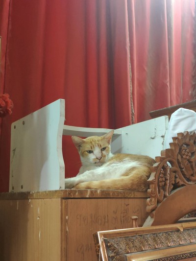 บรรยากาศ