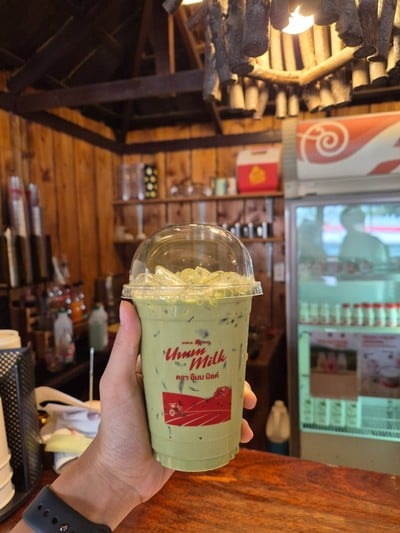 Iced Matcha Latte