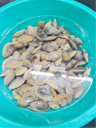 วิธีทำ หมี่ซั่วผัดหอยลายน้ำพริกเผา 🌸 วิธีทำ หมี่ซั่วผัดหอยลายน้ำพริกเผา 🌸