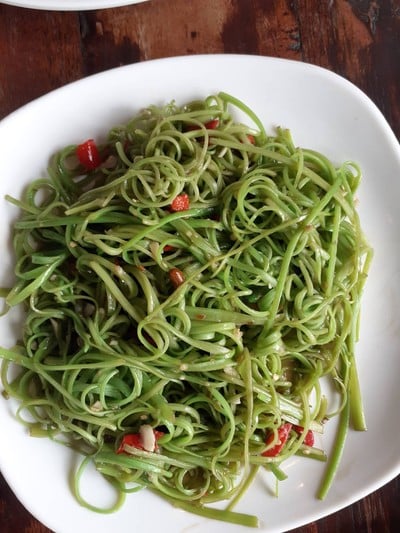 ผักบุ้งฝอยไฟแดง