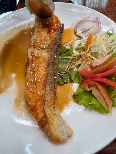 ข้าหน้าแซลมอนย่าง