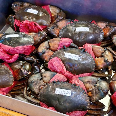 ปูทะเลสดๆ