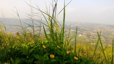 บรรยากาศ